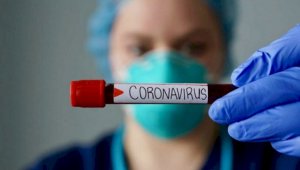 В Казахстане 954 новых случая заболевания коронавирусом