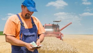 Доходы сельхозработников вырастут вдвое в Казахстане