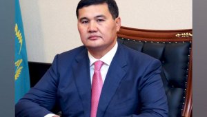 Нурлыбек Налибаев получил новую должность