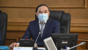 В Алматы состоялось онлайн-совещание с участием членов НСОД
