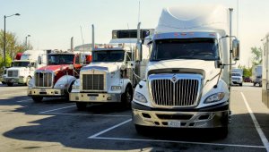 Более 220 грузовиков скопилось на пограничных переходах Казахстана