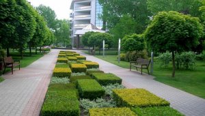 В Алматы создается Садовый кластер