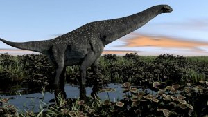Ученые Чили утверждают, что нашли новый вид титанозавра