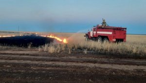 В МЧС Казахстана готовятся к сезону лесных  и степных пожаров