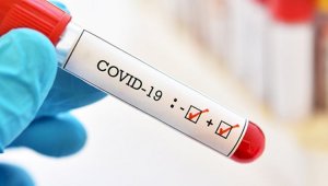 За сутки в РК зарегистрировано 2459 случаев заражения коронавирусом