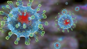 Ученые нашли способ уничтожения коронавируса за секунду