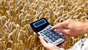 Как стимулируют кредитование сельского хозяйства в Казахстане