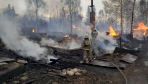 Токаев взял на контроль ситуацию с лесным пожаром в ВКО