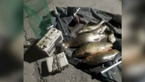 Браконьера, глушившего рыбу током, задержали в Алматинской области