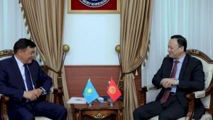 Посол Казахстана вручил копии Верительных грамот главе МИД Кыргызстана