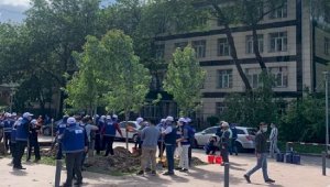 Возле здания прокуратуры Алмалинского района высадили 50 деревьев