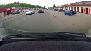 Маленькая девочка выпала из движущегося авто в Алматинской области