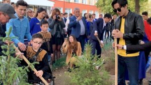 Поклонники Димаша высадили в Алатауском районе более 130 деревьев