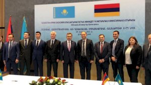 Какие товары и услуги готовы предложить Армении казахстанские бизнесмены