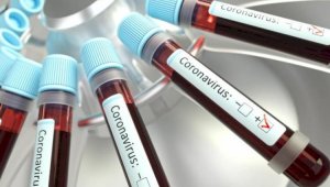 930 казахстанцев заразились коронавирусом за сутки