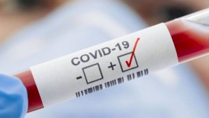 В регионах РК за сутки выявлено 967 случаев заболевания COVID-19