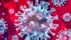 «Британский» штамм теперь Альфа: варианты коронавируса переименовали