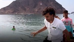 Целое состояние обнаружили в туше кита йеменские рыбаки