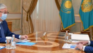 Президент Казахстана принял заместителя Премьер-министра Романа Скляра