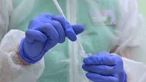 В Казахстане за сутки выявлено 757 случаев заражения коронавирусом