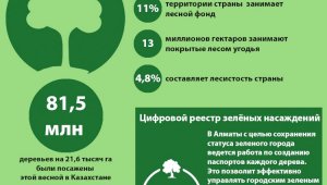 О зелёном фонде страны и цифровом реестре деревьев в Алматы