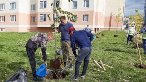 Как общественность Алматы помогает сохранению зеленого фонда города