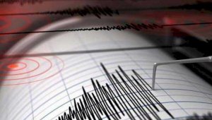 В 374 километрах от Алматы произошло землетрясение