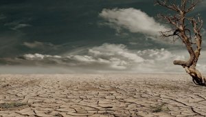 Каким регионам Казахстана угрожает засуха в июле
