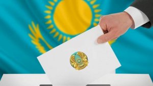 Прямые выборы акимов сел существенно повысят политическую культуру в Казахстане