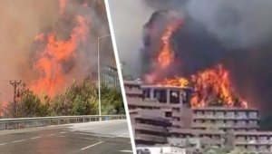 В Турции удалось локализовать 74 очага пожаров