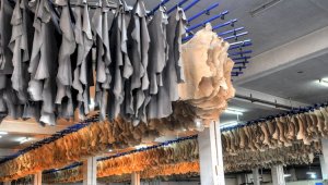 Сколько заработали казахстанские производители на экспорте кожи