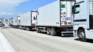 Более 290 грузовиков застряли на пограничных переходах Казахстана