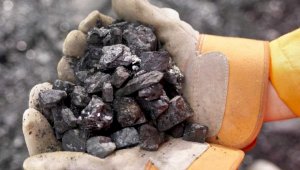 Антимонопольщики будут следить за необоснованным ростом цен на уголь