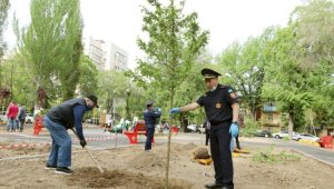 Бакытжан Сагинтаев: В Алматы будет возобновлена работа «Зеленстроя»