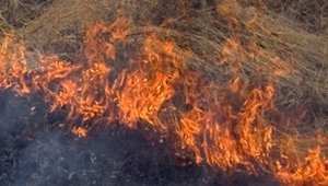 Склон горы загорелся близ микрорайона Думан в  Алматы