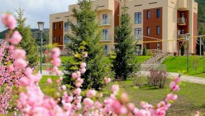 В Алматы объявлен конкурс на лучшее озеленение дворовой территории