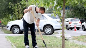 В Алматы запущен электронный реестр зеленых насаждений