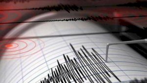 Землетрясение произошло в 354 км от Алматы