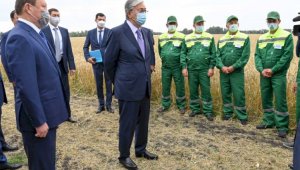 Президент Казахстана выразил озабоченность снижением экспорта муки