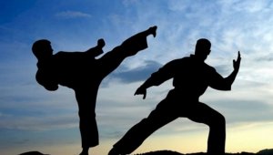В Алматы пройдет чемпионат Азии по каратэ