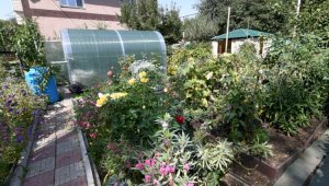 Делать город еще краше: победителям конкурса на лучшее озеленение двора вручили 5 млн тенге в Алматы