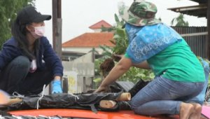 Коронавирус вынудил тайских таксистов превратить крыши машин в огороды