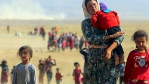 ЕC поможет Таджикистану построить лагерь для афганских беженцев