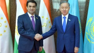 Спикеры парламентов Казахстана и Таджикистана обсудили вопросы сотрудничества