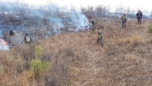 Третьи сутки тушат лесные пожары в ущельях Алматинской области