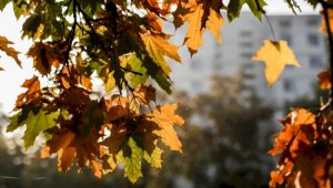 Какой будет погода в Алматы 5 октября