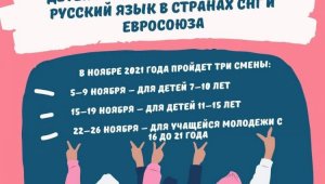 В ноябре будет проходить бесплатный онлайн-лагерь для детей и взрослых, изучающих русский язык