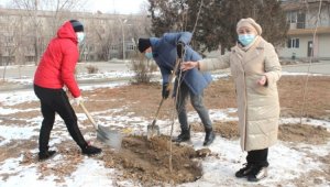 В Турксибском районе отремонтировали сквер Сейфуллина, установили МАФы для детей и высадили деревья