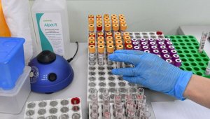 Суточная заболеваемость коронавирусом в Казахстане продолжает снижаться