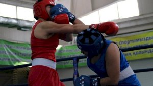 Названы имена победительниц чемпионата Казахстана по боксу среди женщин